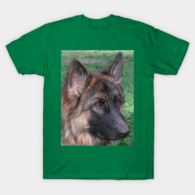 German shepherd black and tan T-Shirt by Wanderingangel